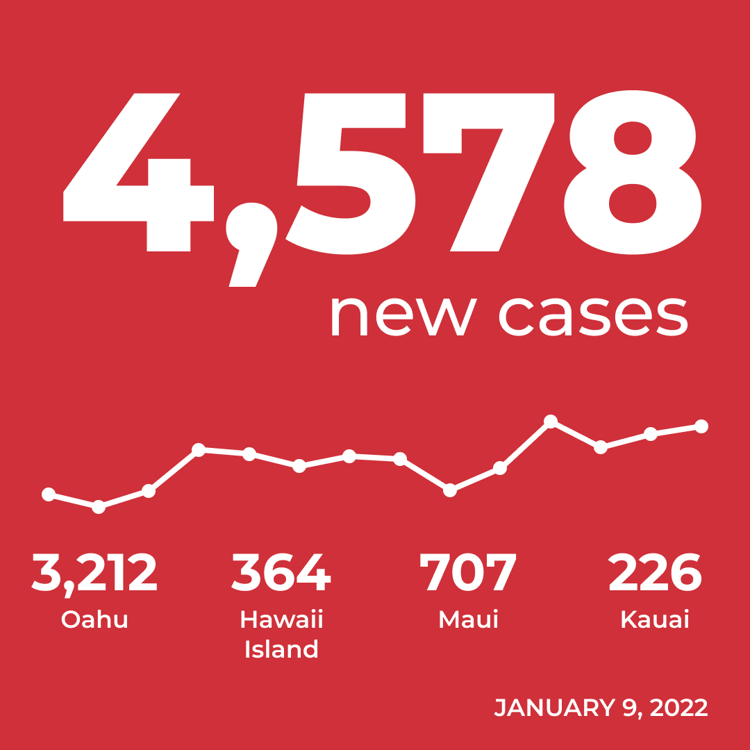 Daily case counts